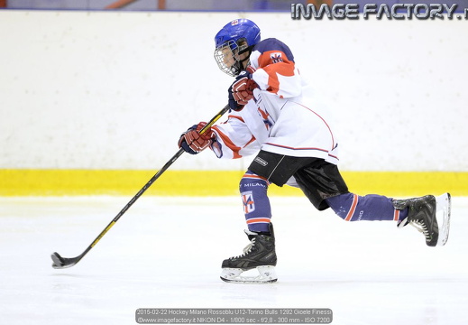 2015-02-22 Hockey Milano Rossoblu U12-Torino Bulls (2-2)